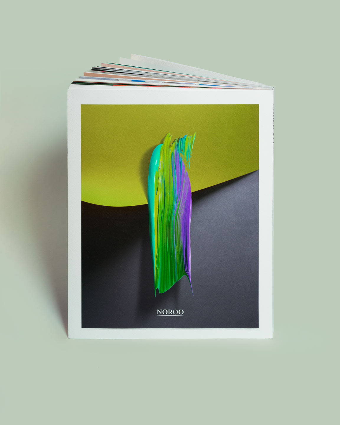 nolbert_npci_book_shot_06_n