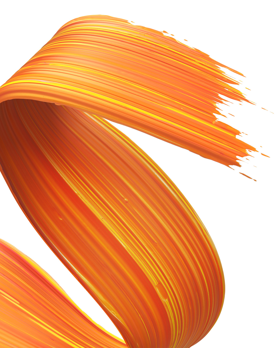 nolbert_orange_f_social_comp02_f_n