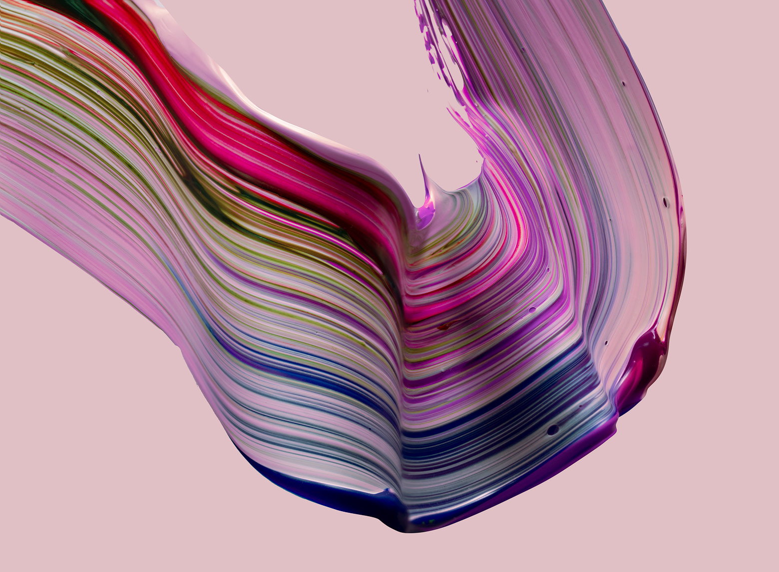 nolbert_MM33_fal_n