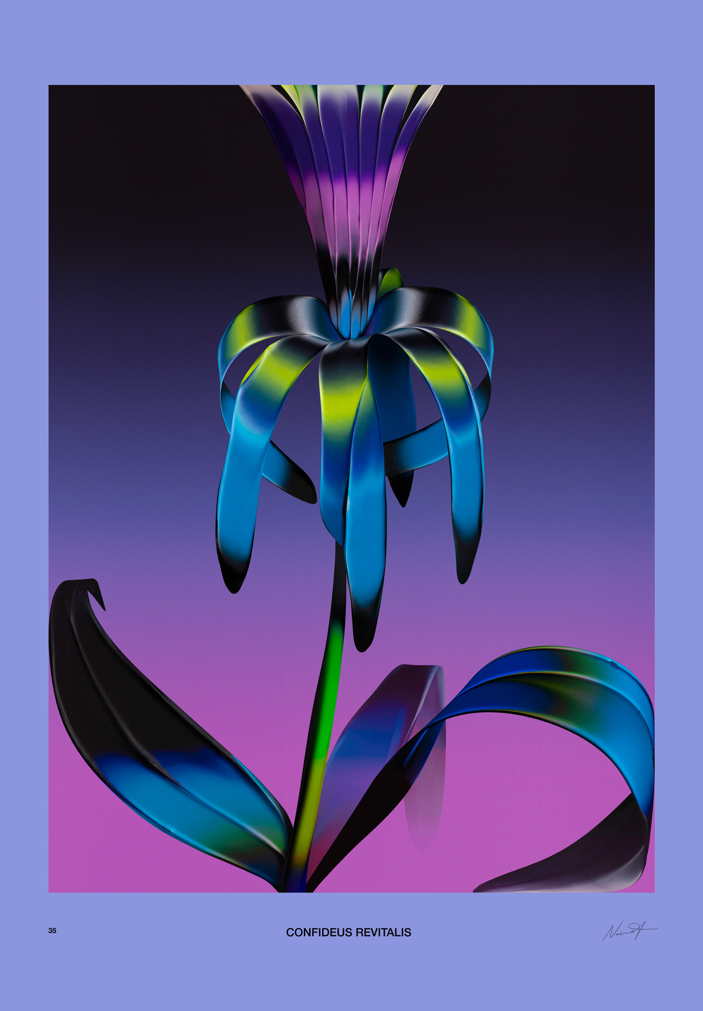 nolbert_weird_flowers_35_02_confideus_revitalis_f_n