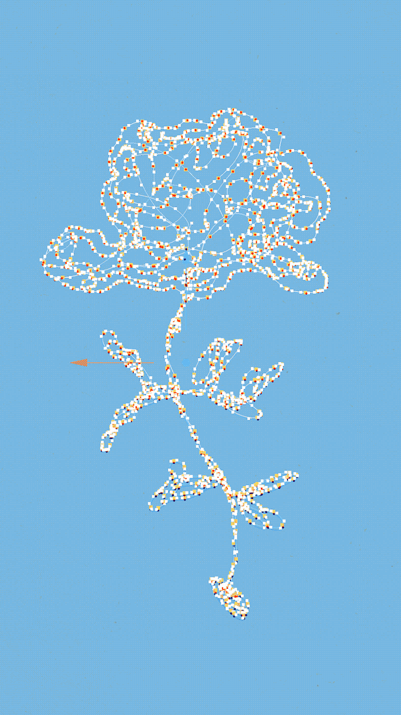 nolbert_wf_gen_int_1_n