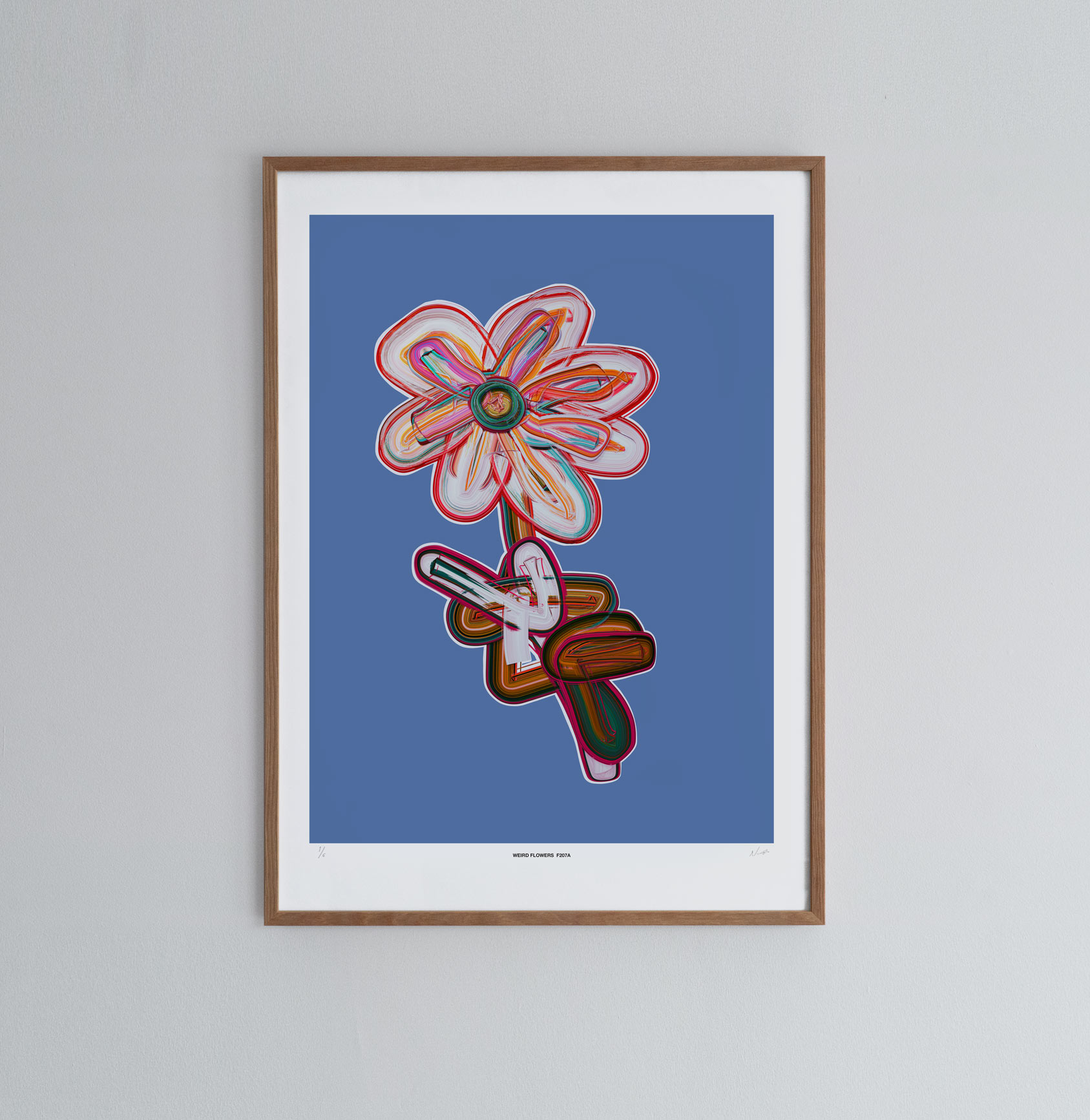 nolbert_F207A_store_pre2_n