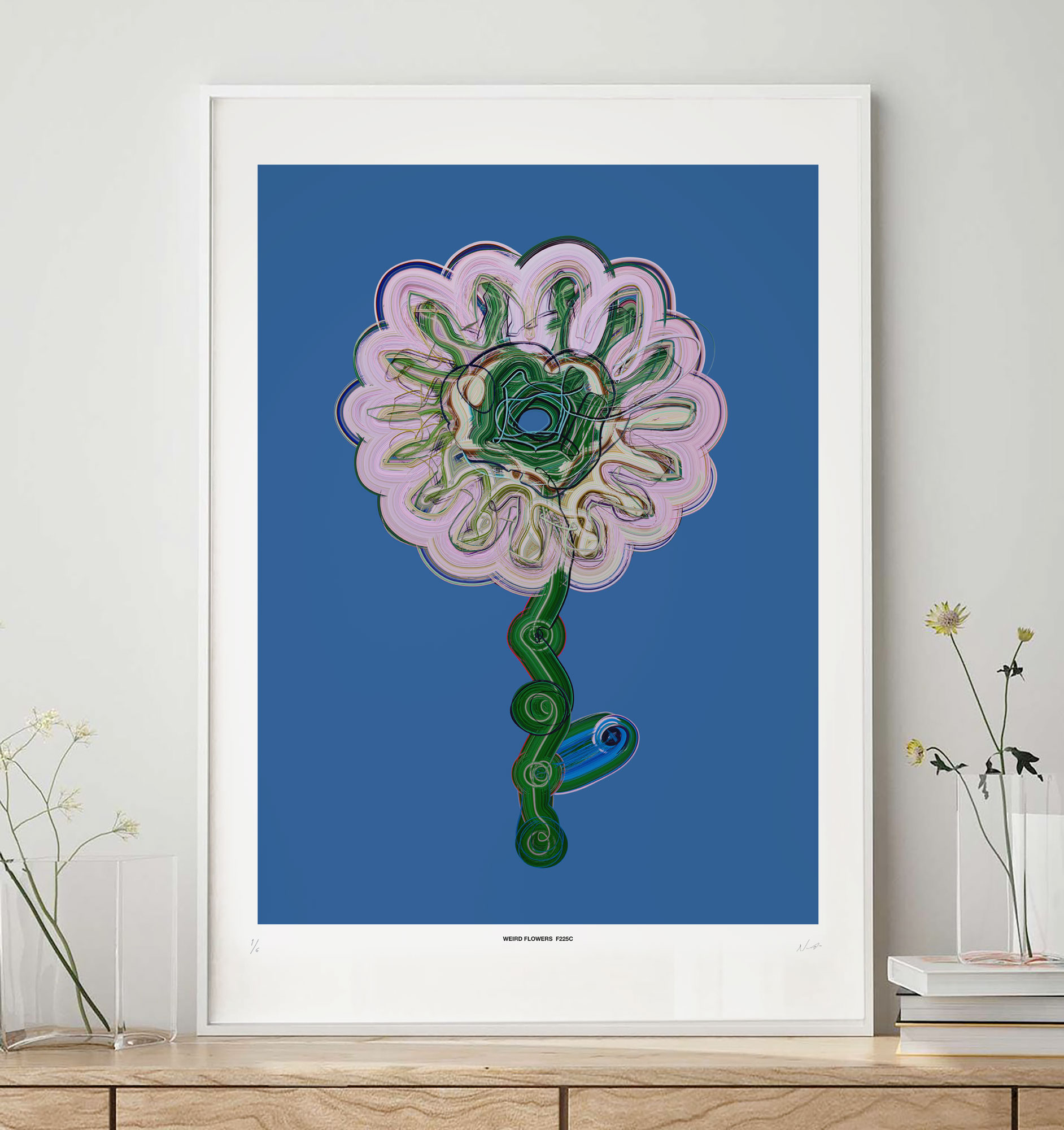 nolbert_F225C_store_pre1_n