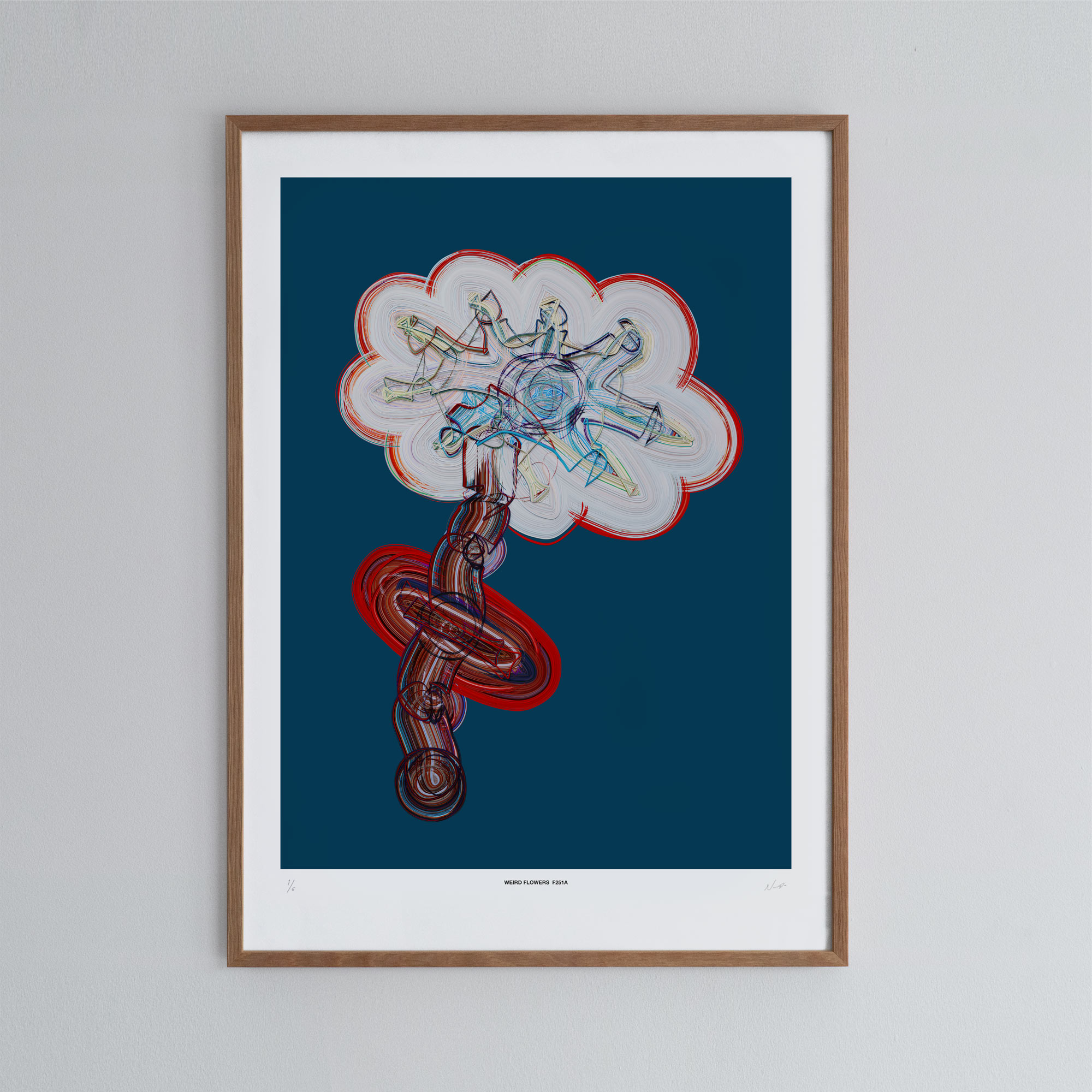 nolbert_F251A_store_pre2_n